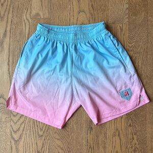 Pitchers Only Baseball Shorts Men’s Small Cotton Candy Ombre Blue Pink
